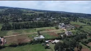 Prime 1/4 Acre View Plot for Sale on Baboon Crescent, Kibiko