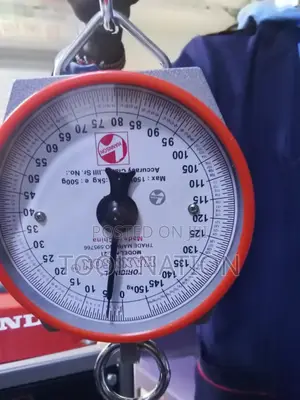 150kg Hanson Scale