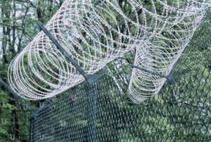 Coil Razor Wire 10m Long - main view