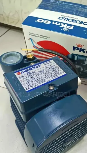 Quality Water Pump/Pedrollo Water Pump