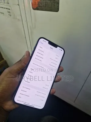 Apple iPhone 13 Pro Max 256 GB Blue