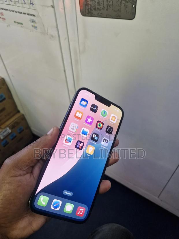 Apple iPhone 13 Pro Max 256 GB Blue - thumbnail 8