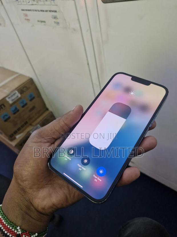 Apple iPhone 13 Pro Max 256 GB Blue - thumbnail 9