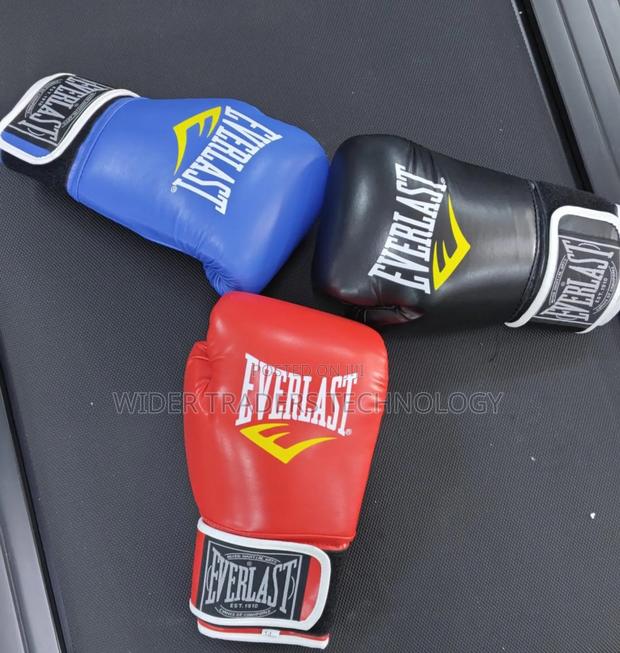 Everlasst Boxing Gloves
Size 14oz - main view