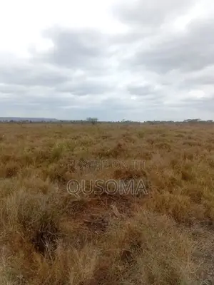 Scenic 5-Acre Farm in Kajiado Oloiyankalani, Retirement Home