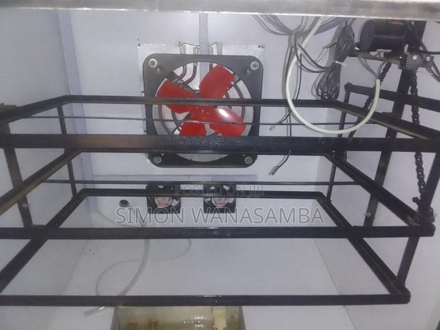 Improved Kienyeji Chicks - thumbnail 5