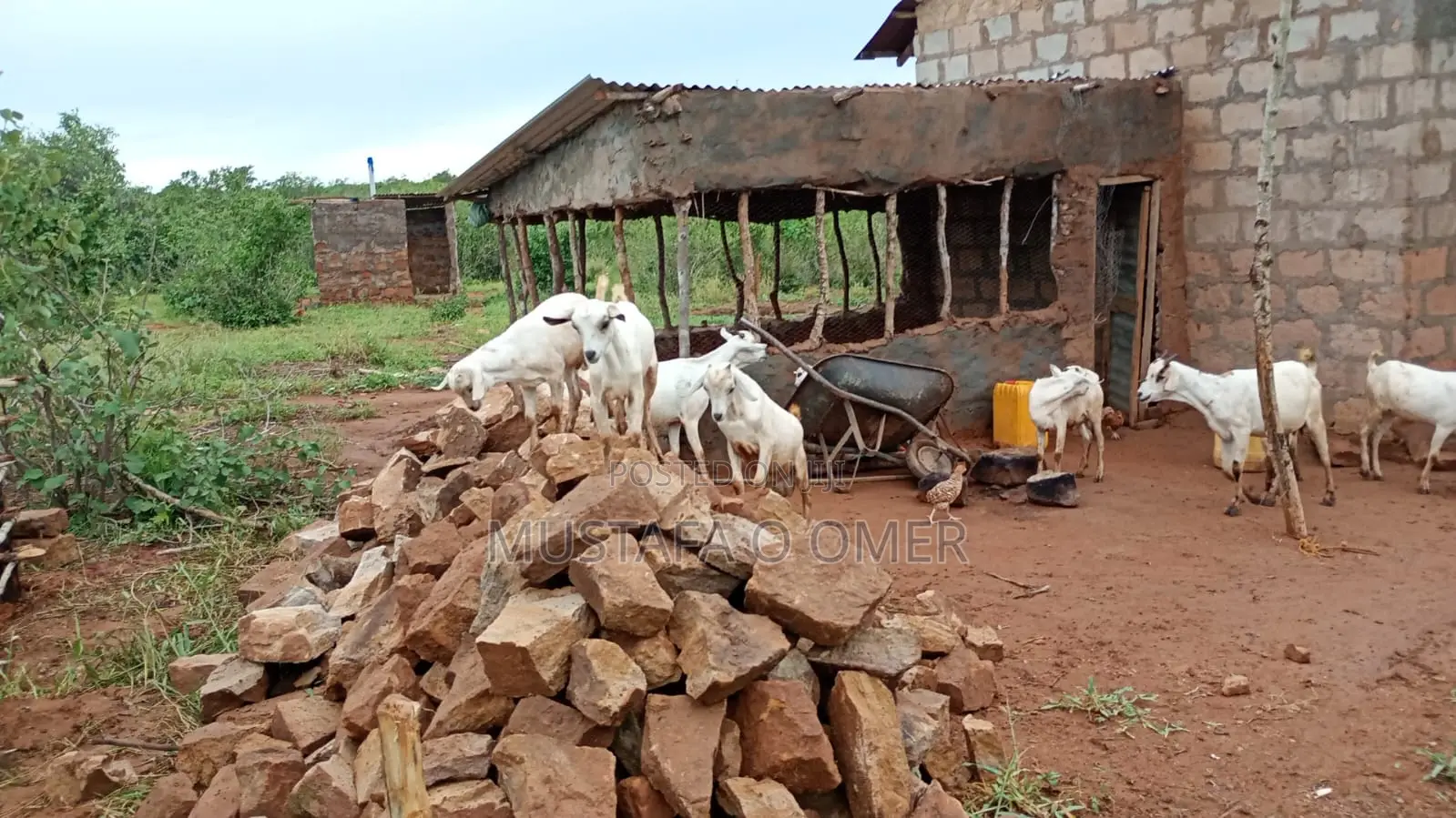 Mixed Farm With House and Infrastructure