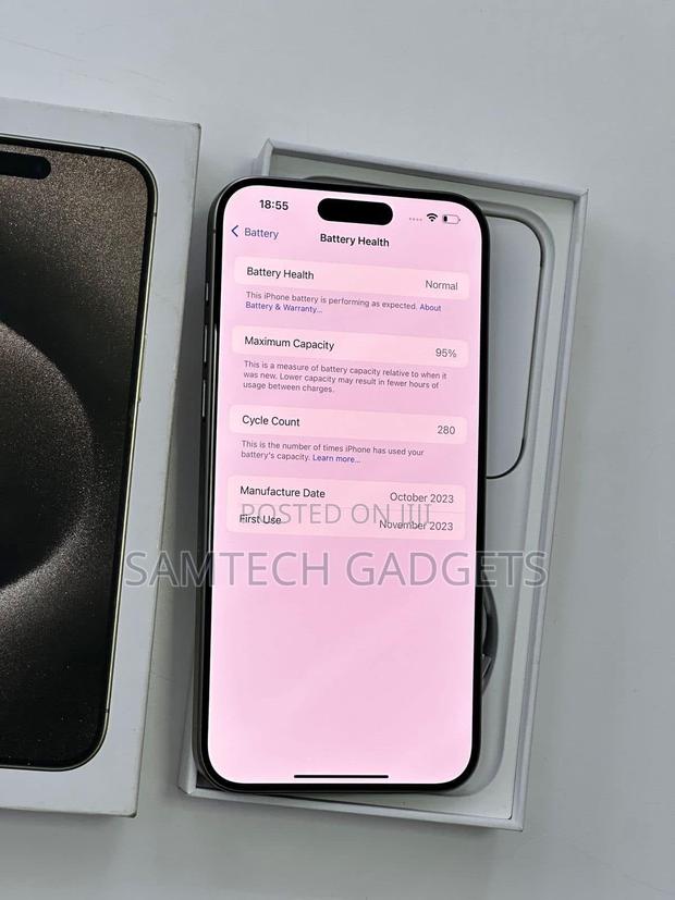 Apple iPhone 15 Pro Max 256 GB Silver