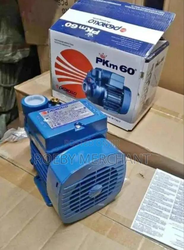0.5hp Pedrollo Water Pump/Italy Pedrollo Water Pump