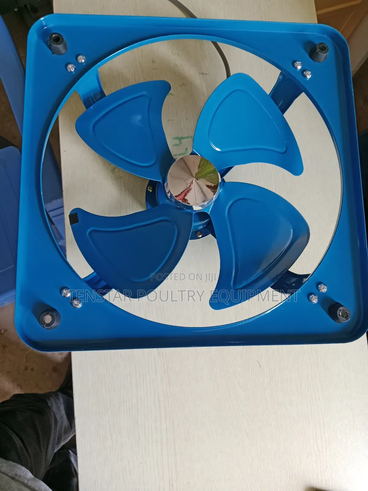 Blue Fan 30cm