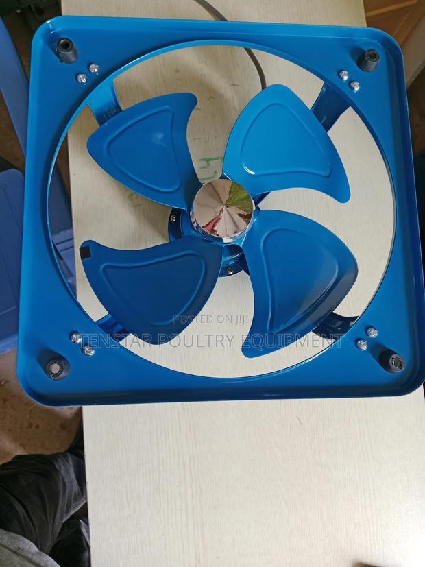 Blue Fan 30cm - main view