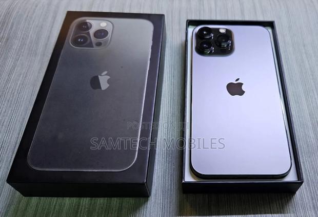 Apple iPhone 13 Pro Max 256 GB Gray - thumbnail 3