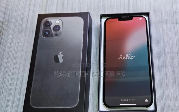 Apple iPhone 13 Pro Max 256 GB Gray - thumbnail 4