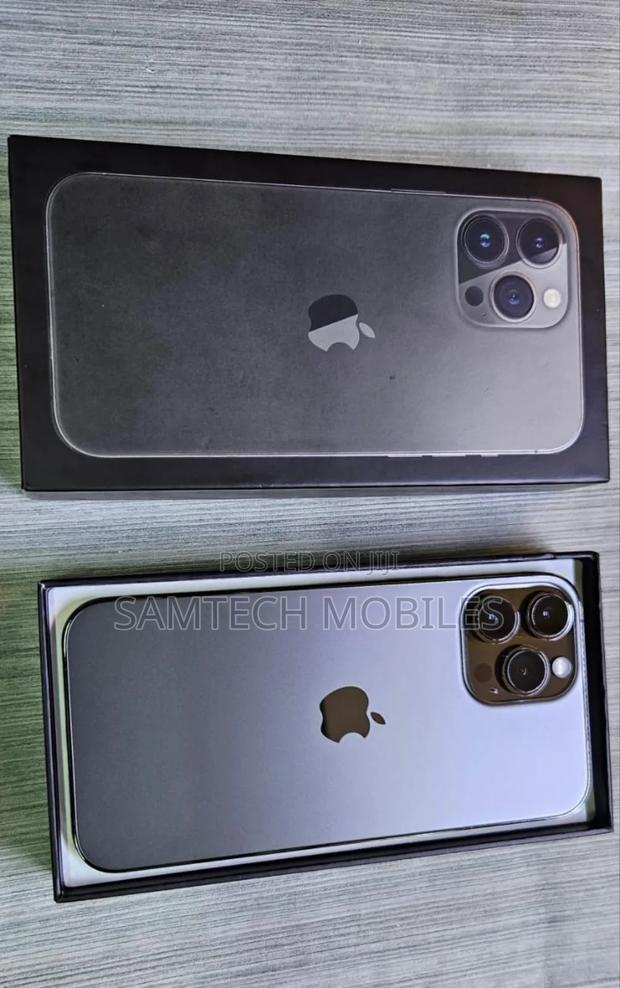 Apple iPhone 13 Pro Max 256 GB Gray - thumbnail 6