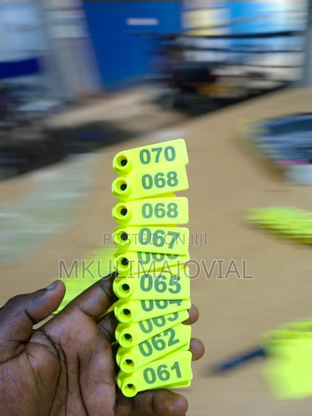 Slim Plastic Ear Tags For Goats And Sheep