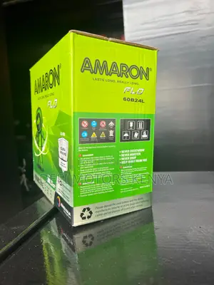 Amaron Car Battery Ns60l