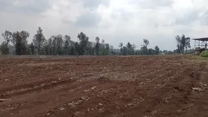 12 Acres of Land for Sale