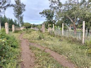 9 Acre Msambweni Beach Property - thumbnail 2