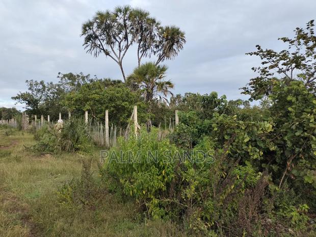 9 Acre Msambweni Beach Property - thumbnail 4