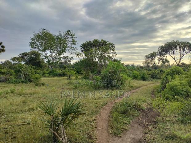 9 Acre Msambweni Beach Property - thumbnail 6