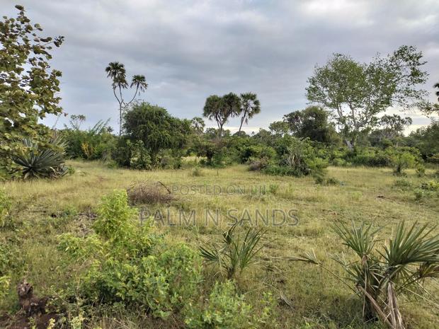 9 Acre Msambweni Beach Property - thumbnail 7