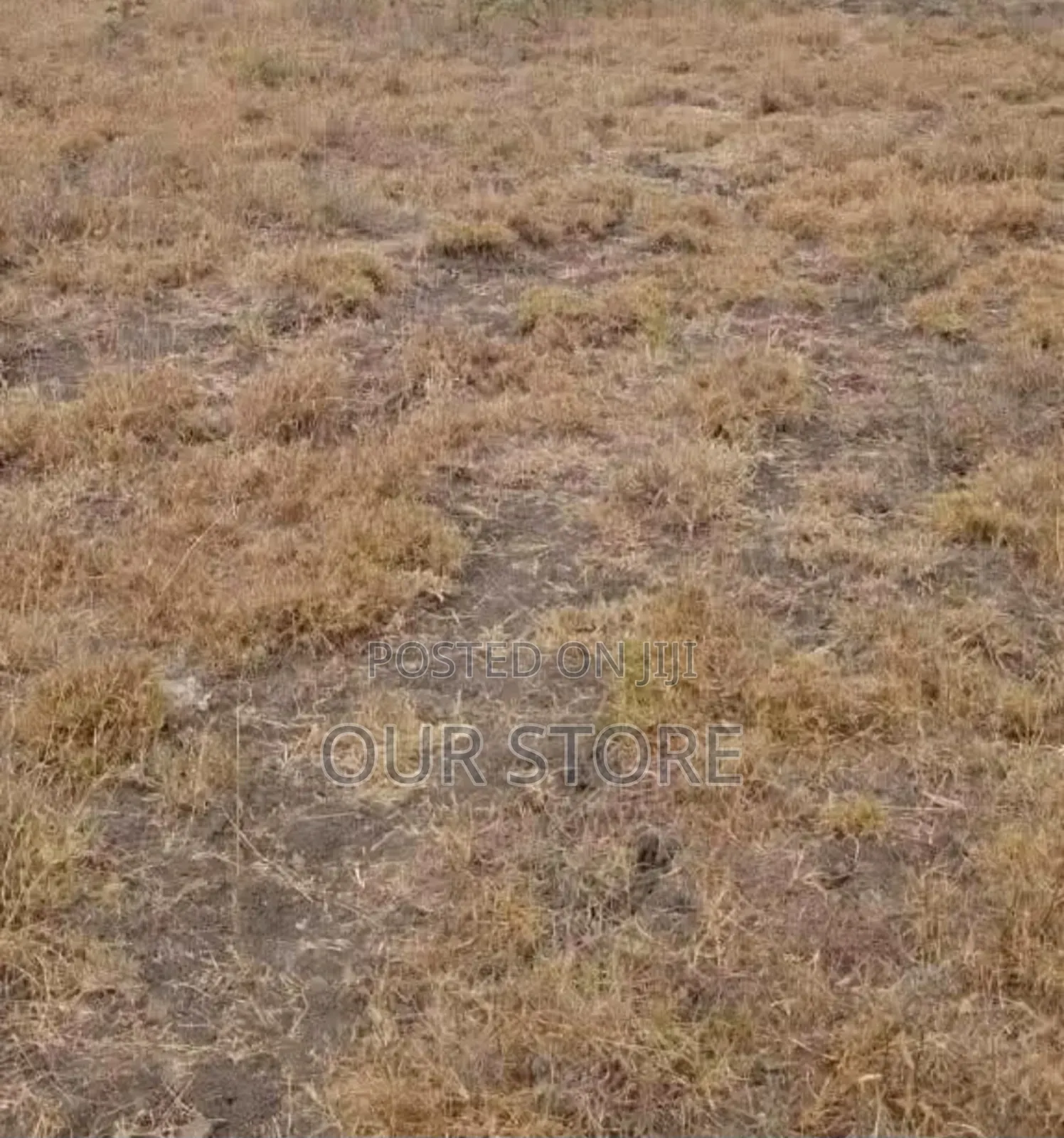 Plot for Sale Utawala Kincur