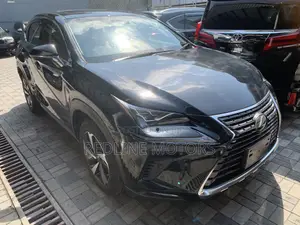 Lexus NX 300 AWD 2018 Black