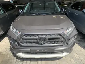 Toyota RAV4 LE AWD 2019 Gray