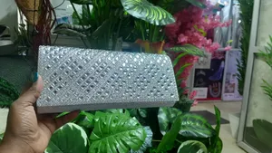 Silver Elegant Clutch