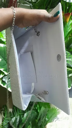 Silver Elegant Clutch