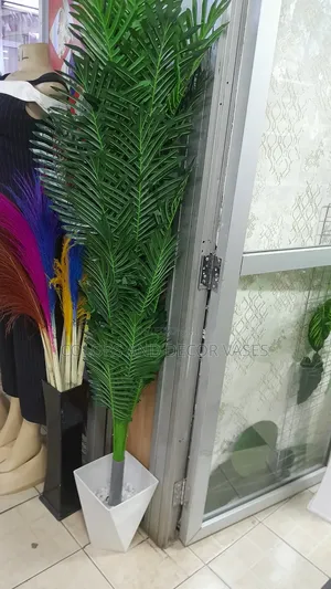 Corner Tall Palm With Vase Plus Decorative Stones