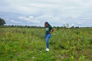 Prime Plots for Sale Kikambala (Kilifi County)