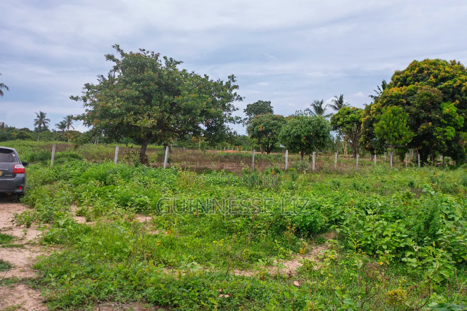 Prime Plots for Sale Kikambala (Kilifi County)