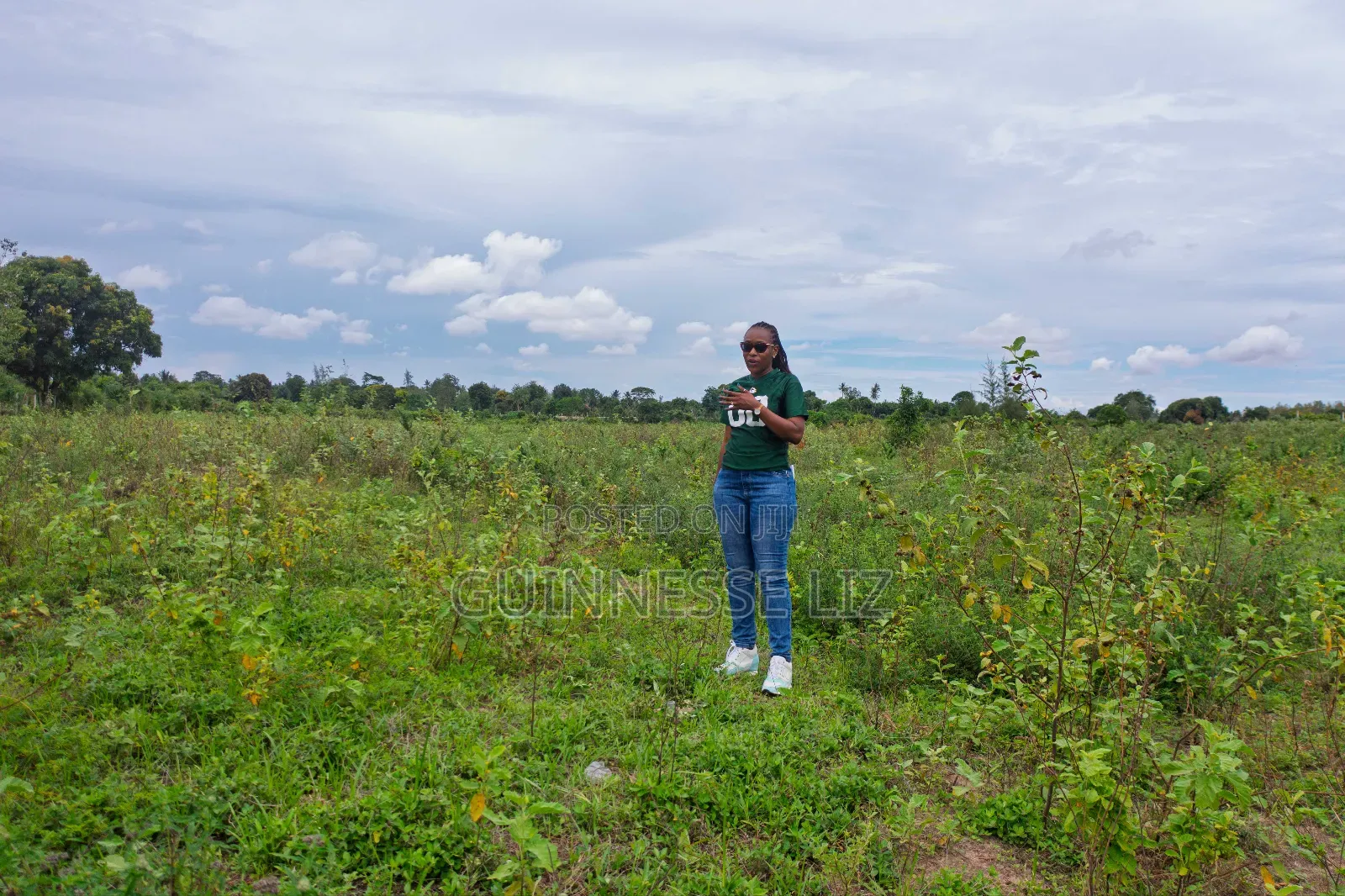 Prime Plots for Sale Kikambala (Kilifi County)