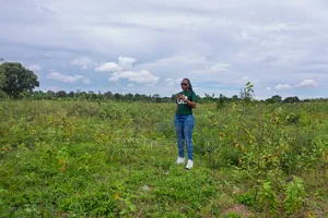 Prime Plots for Sale Kikambala (Kilifi County)