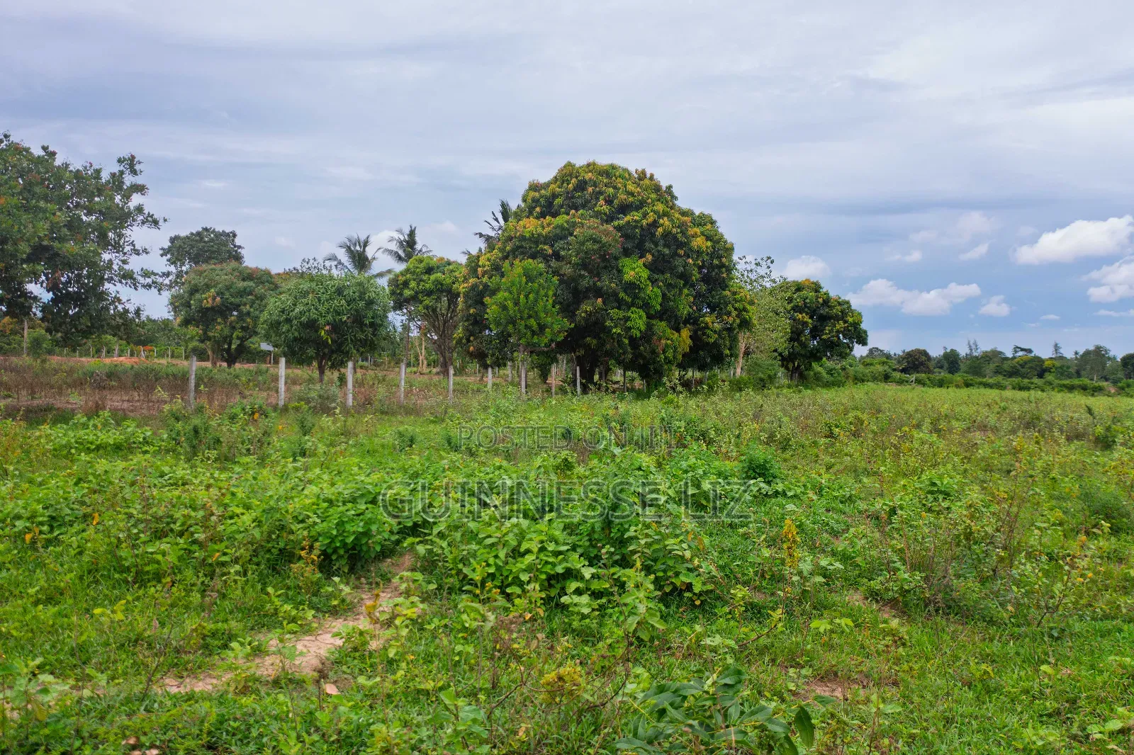 Prime Plots for Sale Kikambala (Kilifi County)