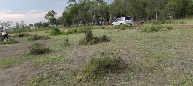 Plots for Sale