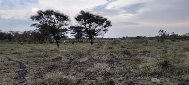 Plots for Sale - thumbnail 3