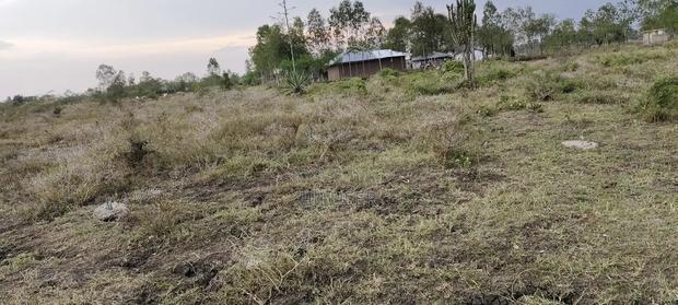 Plots for Sale - thumbnail 4