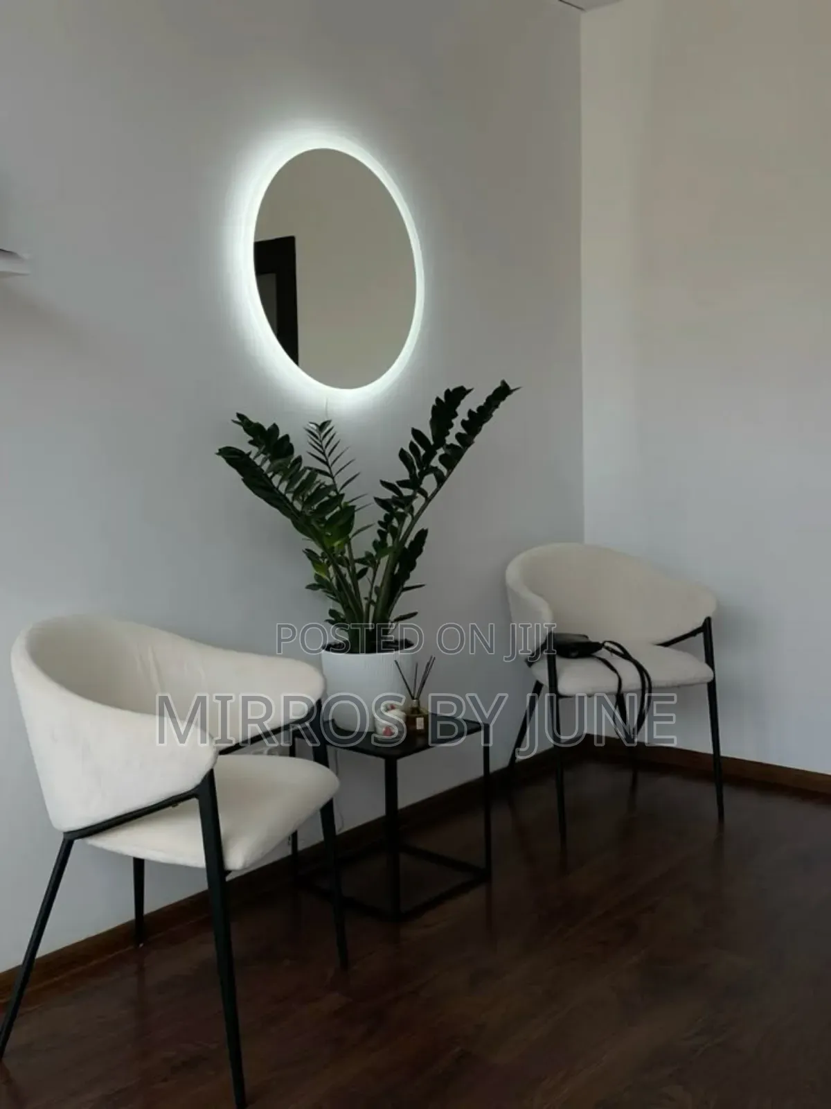 Launch Area Mirror/ Living Room