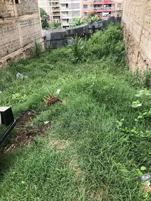 Plot for Sale