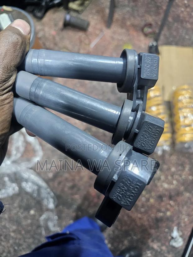 Ignation Coils Number 30 - main view