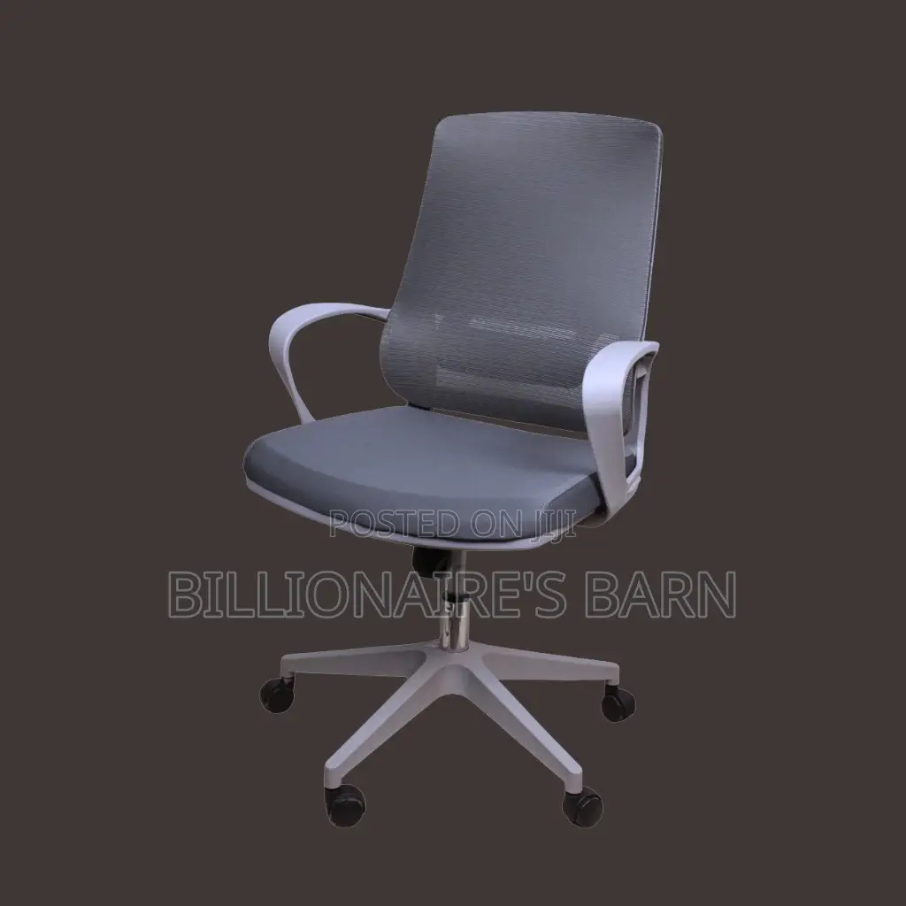 Ergonomic Mid-Back Mesh Chair, in Grey Finish.