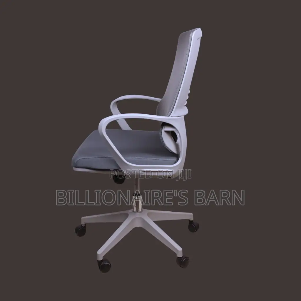 Ergonomic Mid-Back Mesh Chair, in Grey Finish.