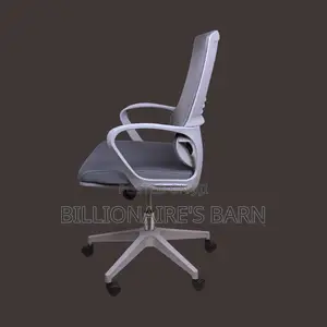 Ergonomic Mid-Back Mesh Chair, in Grey Finish.