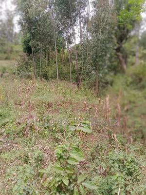 Quarter an Acre on Sale at Kigumo-Githima