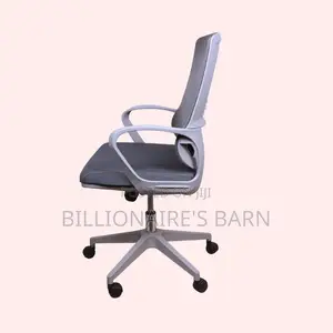 Grey Ergonomic Mesh Office Chair (Quiet-Roll) — Offer Valid This Week!