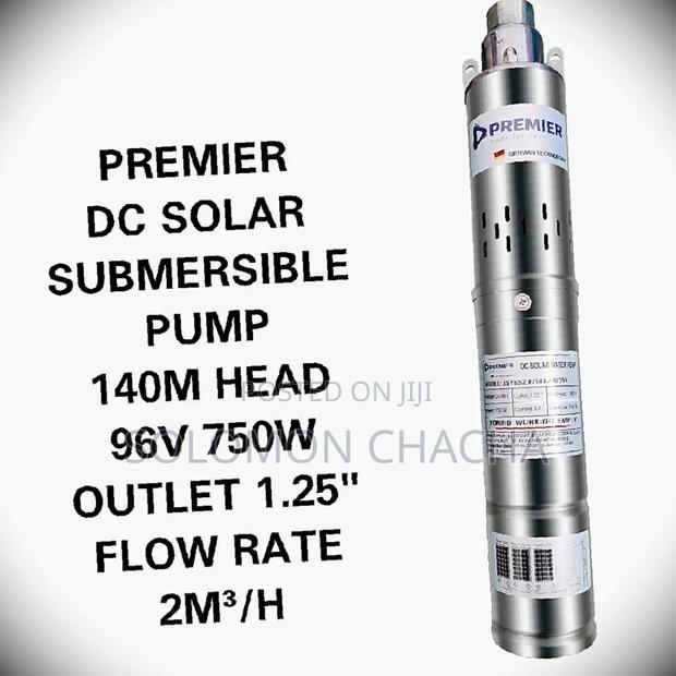 Premier 140m 96v 750w Dc Solar Submersible Pump Best Quality