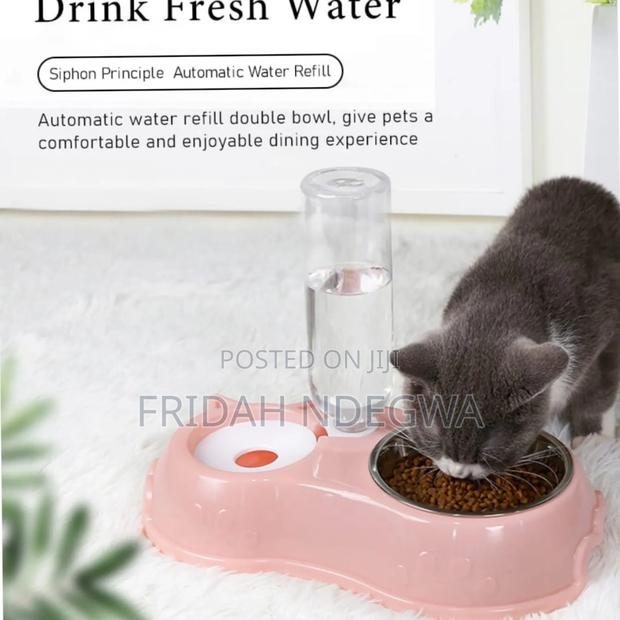 Automatic Single Pet Bowl Plus Water Dispenser