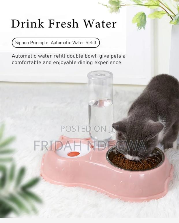 Automatic Single Pet Bowl Plus Water Dispenser - thumbnail 2